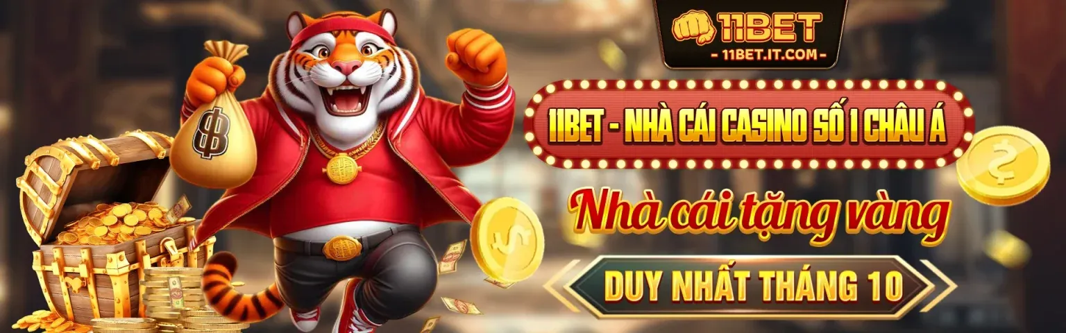 Sân vận động tràn ngập ánh sáng với các môn thể thao đa dạng
